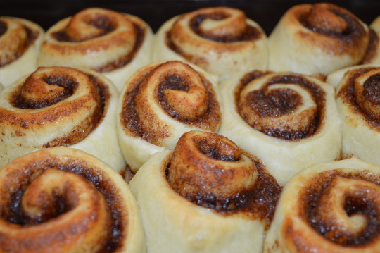 Cinnamon, Cardamom, and Ginger Oh My Rolls by Chef Hannah Noltemeyer